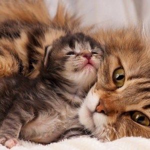 Meet your Posher, Barbara